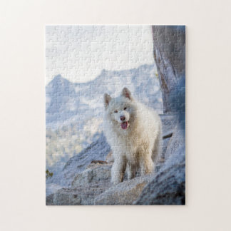 Coconut - Mountains Jigsaw Puzzle