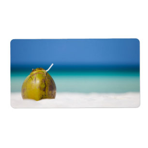 Coconut on the beach