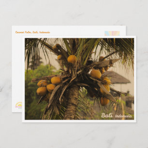 Coconut Palm, Bali Indonesia - Travel Postcard