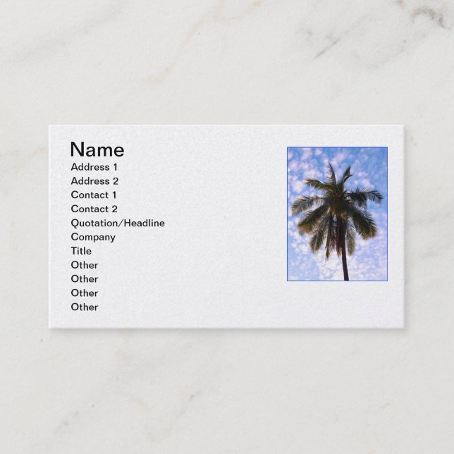 Coconut Palm Business Card (Front)