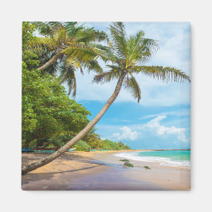 Coconut Palm, Mirissa Beach Sri Lanka Magnet