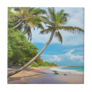 Coconut Palm, Mirissa Beach   Sri Lanka Tile