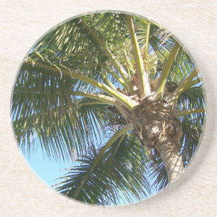 Coconut Palm Tree Coaster