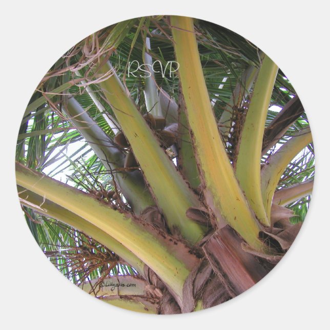 Coconut Palm Tree RSVP Wedding Seals Sticker (Front)