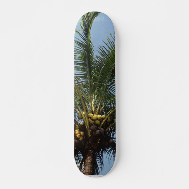 Coconut Palm Tree Skateboard (Front)