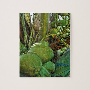 Coconut Palm Tree Tropical Caribbean Islands  Jigsaw Puzzle