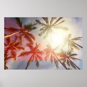 Coconut Palm Trees Against the Sun Poster