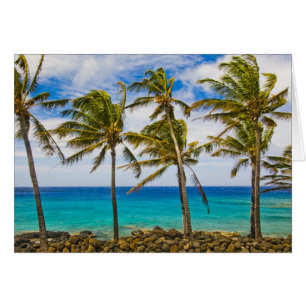 Coconut palm trees (Cocos nucifera) swaying in
