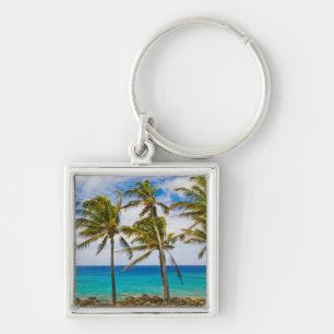 Coconut palm trees (Cocos nucifera) swaying in Key Ring