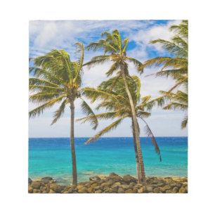 Coconut palm trees (Cocos nucifera) swaying in Notepad