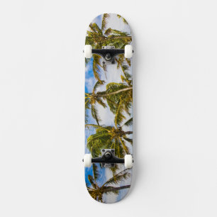 Coconut palm trees (Cocos nucifera) swaying in Skateboard