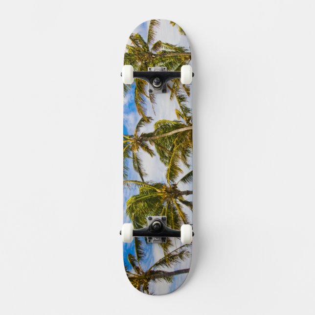 Coconut palm trees (Cocos nucifera) swaying in Skateboard (Front)