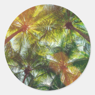Coconut Palm trees on the Beach Classic Round Sticker