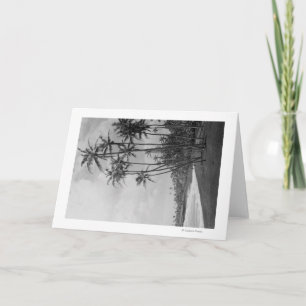 Coconut Palms - Hawaiian Islands Photograph Card