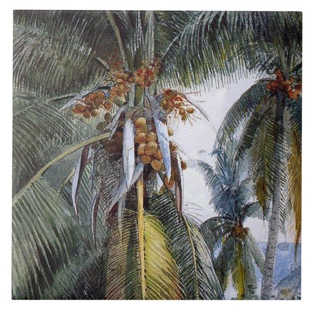 Coconut Palms, Key West, Florida, Tile (Front)