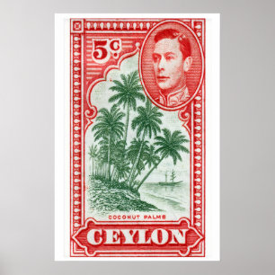Coconut Palms Matchbox Art Print, Sri Lankan Poster