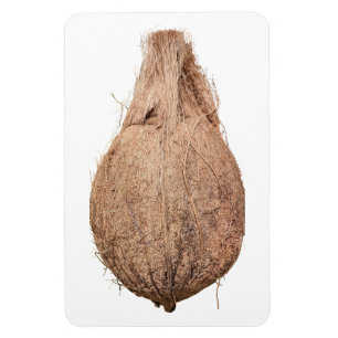 Coconut Photo Magnet