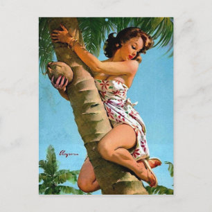 Coconut Pin Up Postcard