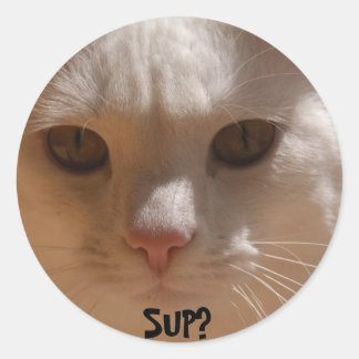 Coconut the cat--SUP? Classic Round Sticker