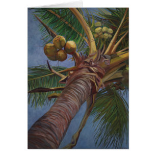 Coconut Tree