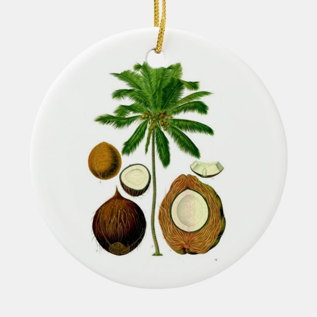 Coconut Tree Ornament (Front)
