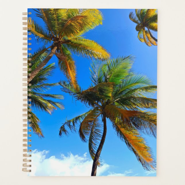 Coconut Tree Planner – Plan in Paradise (Front)