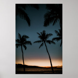 Coconut trees silhouette poster