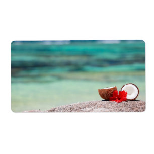 Coconut with tropical flower on exotic coast