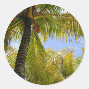 Coconuts Classic Round Sticker