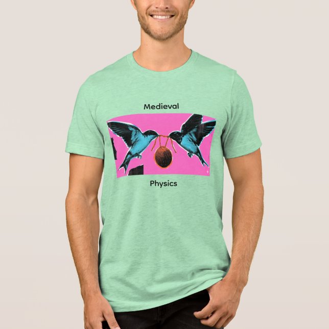 Coconuts Don't Migrate Medieval Physics Tee (Front)