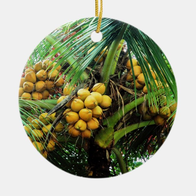 coconuts on the tree ceramic tree decoration (Front)