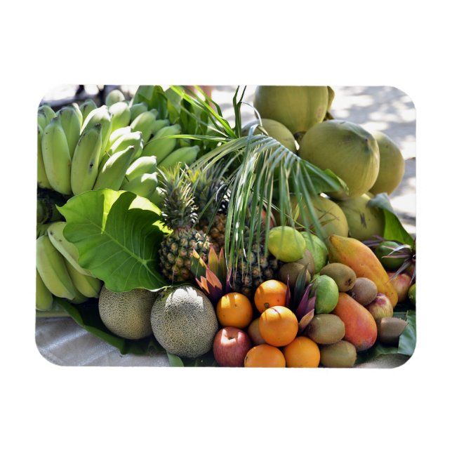 Coconuts, Oranges, Limes, Bananas, Papayas Magnet (Horizontal)