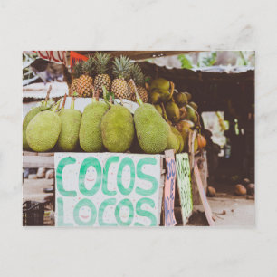 Cocos Locos Postcard