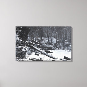 Coda (Winter) Canvas Print