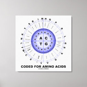 Coded For Amino Acids (Genetic Code DNA) Canvas Print