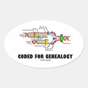 Coded For Genealogy (DNA Replication) Oval Sticker