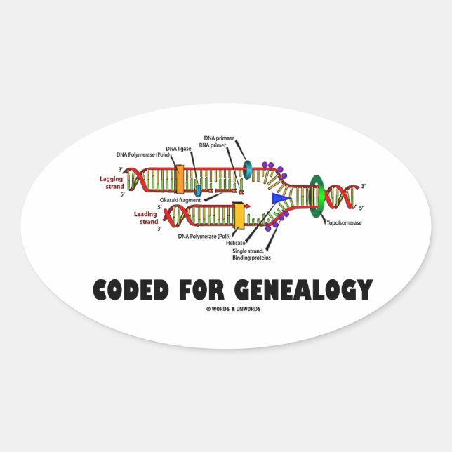 Coded For Genealogy (DNA Replication) Oval Sticker (Front)