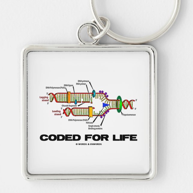 Coded For Life (DNA Replication) Key Ring (Front)