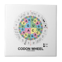 Codon Wheel (RNA Codons Amino Acids)