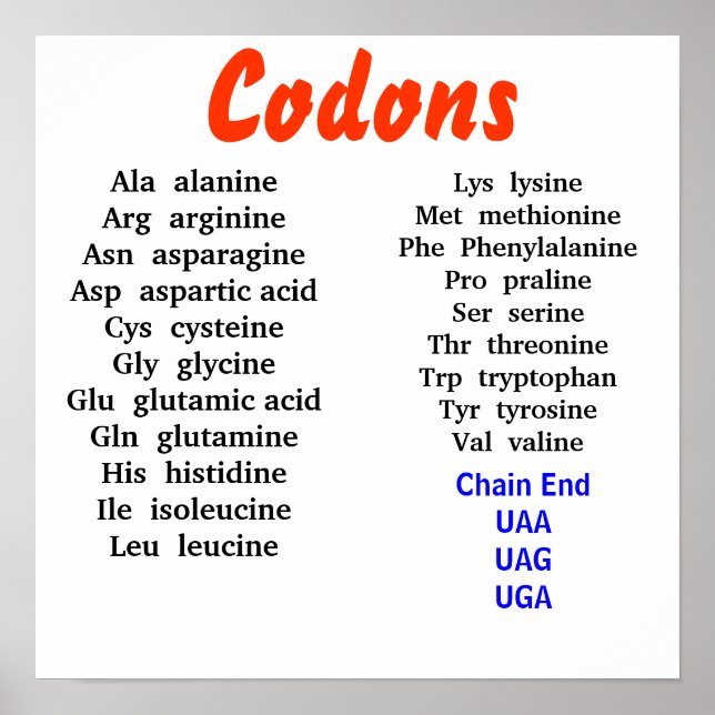Codons Poster (Front)