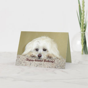 'Cody'  Greeting card Happy belated Birthday!