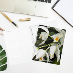 Coelogyne Mooreana Orchids Floral Calendar Plann Planner