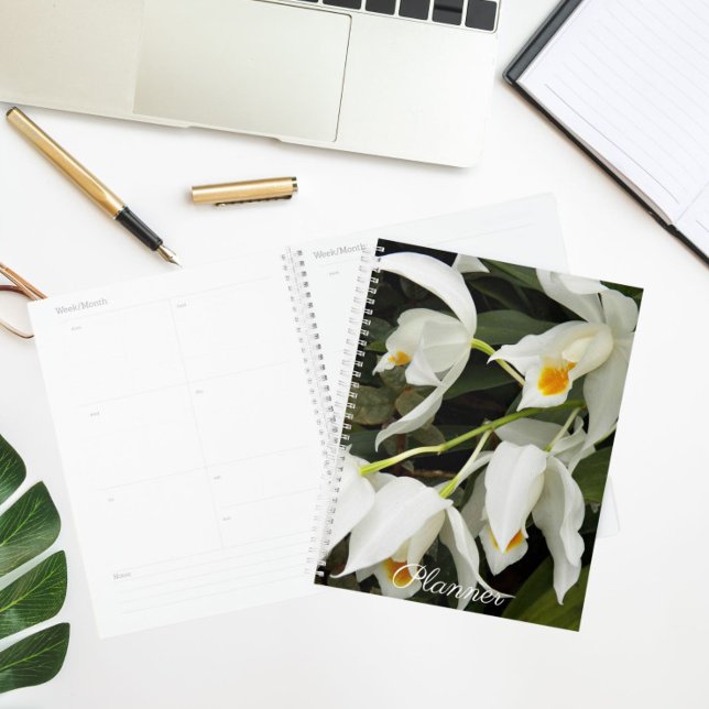 Coelogyne Mooreana Orchids Floral Calendar | Plann Planner (Creator Uploaded)