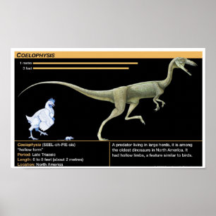 Coelophysis - Biology Jurassic Poster