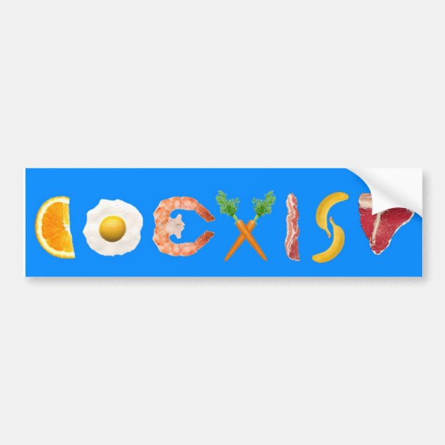 Coexist: Culinary Edition Bumper Sticker (Front)