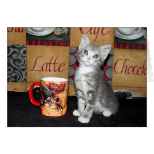 Coffe, Tea, or Meow