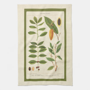 Coffee Antique Tea Botanical Beverage Plants Chart Towel