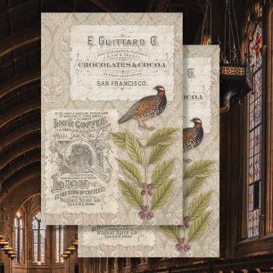 Coffee Beans Ephemera Bird Masculine Tan Decoupage Tissue Paper