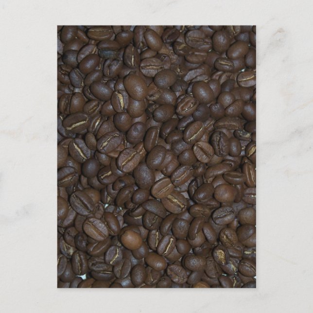 Coffee beans postcard (Front)