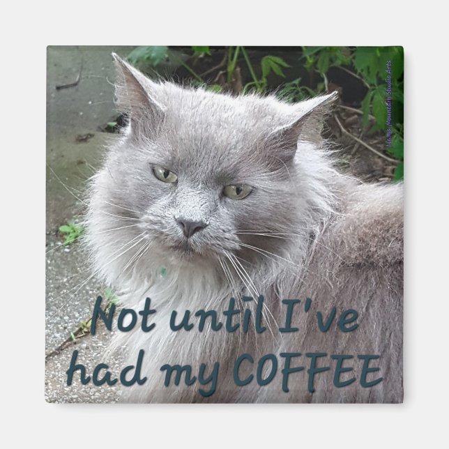 Coffee Cat Magnet #1 - Twig (Front)